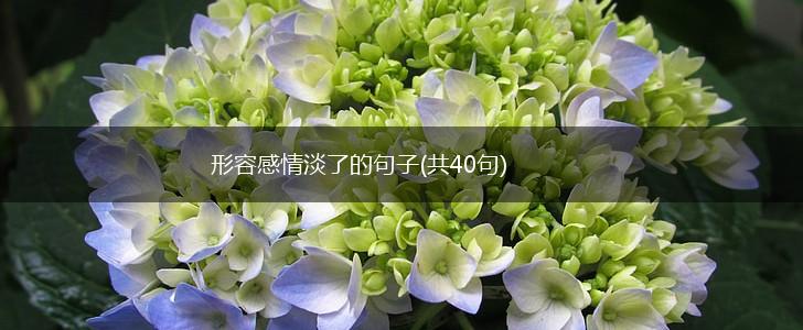 形容感情淡了的句子(共40句),第1张
