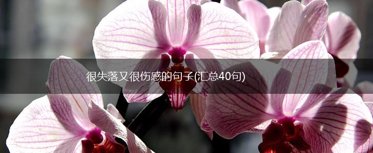 很失落又很伤感的句子(汇总40句),第1张