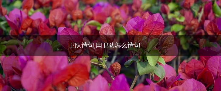 卫队造句,用卫队怎么造句,第1张 卫队造句,用卫队怎么造句,第1张