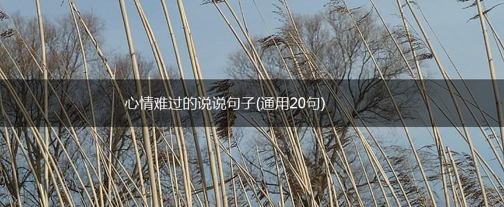 心情难过的说说句子(通用20句),第1张