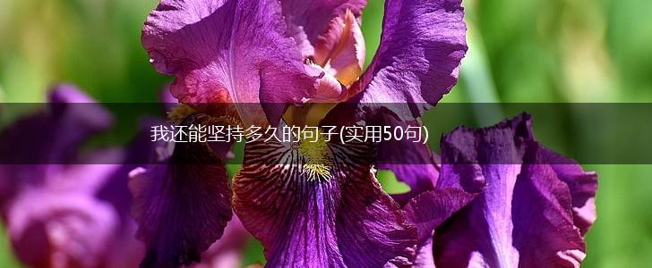 我还能坚持多久的句子(实用50句),第1张