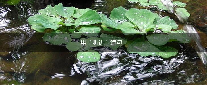 用“听讲”造句,第1张 用“听讲”造句,第1张