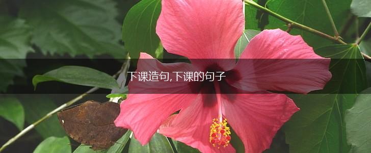 下课造句,下课的句子,第1张 下课造句,下课的句子,第1张