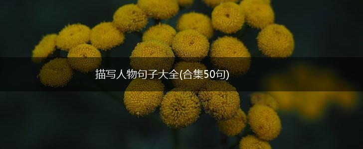 描写人物句子大全(合集50句),第1张