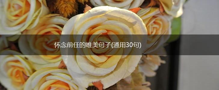 怀念前任的唯美句子(通用30句),第1张