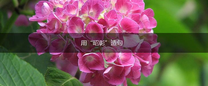 用“昭彰”造句,第1张 用“昭彰”造句,第1张