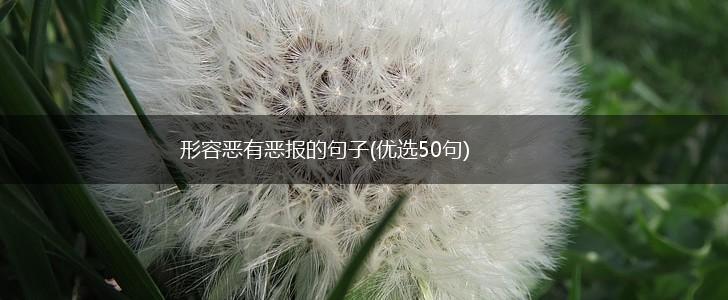 形容恶有恶报的句子(优选50句),第1张