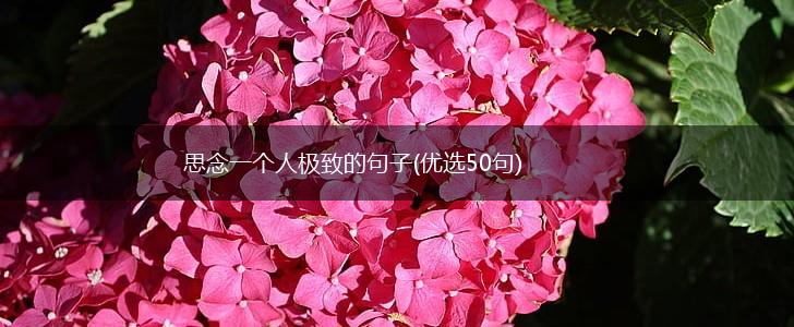 思念一个人极致的句子(优选50句),第1张