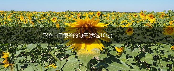 形容自己很差的句子(优选10句),第1张