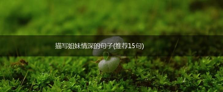 描写姐妹情深的句子(推荐15句),第1张
