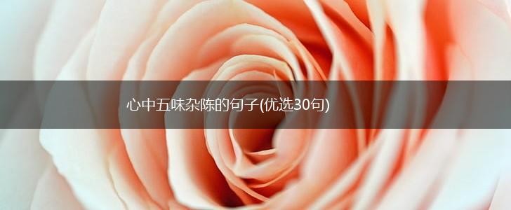 心中五味杂陈的句子(优选30句),第1张