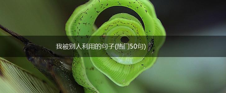我被别人利用的句子(热门50句),第1张