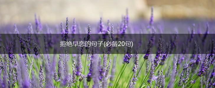 拒绝早恋的句子(必备20句),第1张