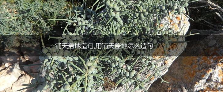 铺天盖地造句,用铺天盖地怎么造句,第1张 铺天盖地造句,用铺天盖地怎么造句,第1张