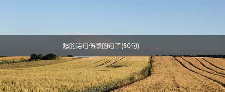 愁的诗句伤感的句子(50句),第1张