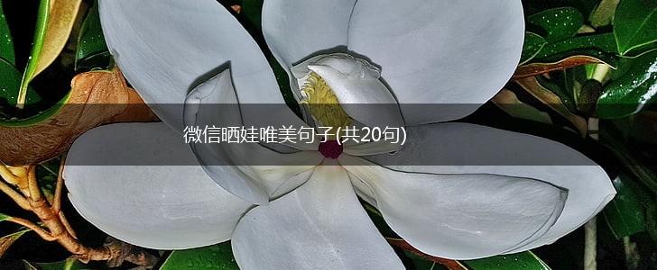 微信晒娃唯美句子(共20句),第1张