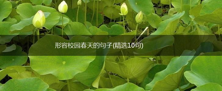 形容校园春天的句子(精选10句),第1张