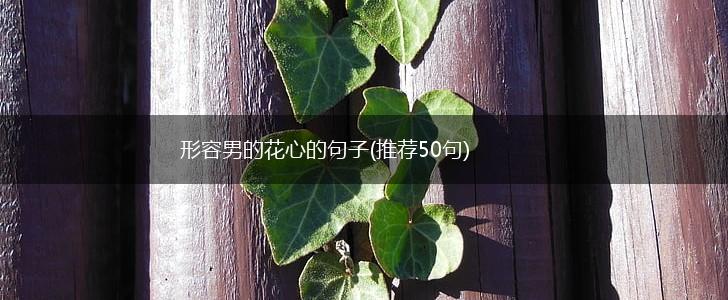 形容男的花心的句子(推荐50句),第1张