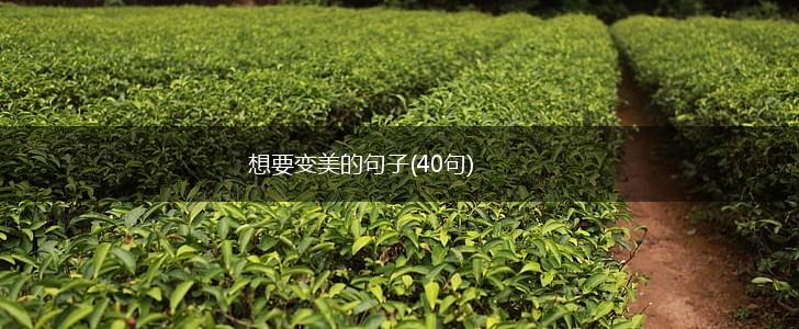 想要变美的句子(40句),第1张