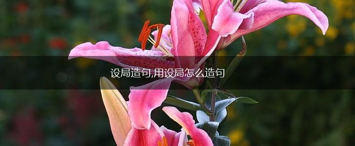 设局造句,用设局怎么造句,第1张