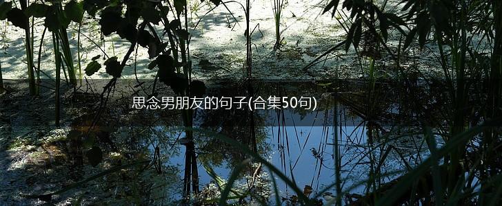 思念男朋友的句子(合集50句),第1张