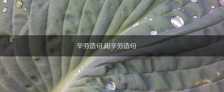 辛劳造句,用辛劳造句,第1张 辛劳造句,用辛劳造句,第1张