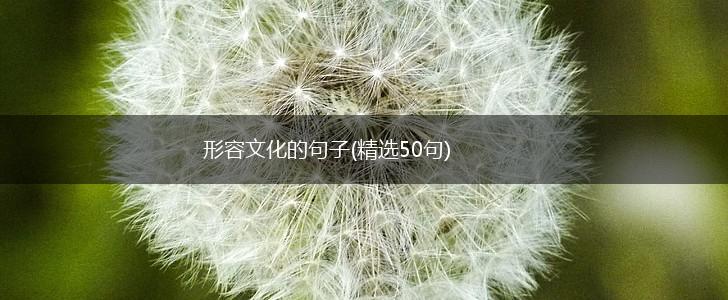 形容文化的句子(精选50句),第1张