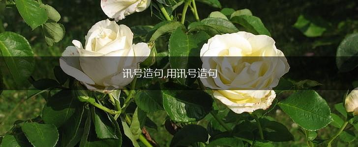 讯号造句,用讯号造句,第1张 讯号造句,用讯号造句,第1张