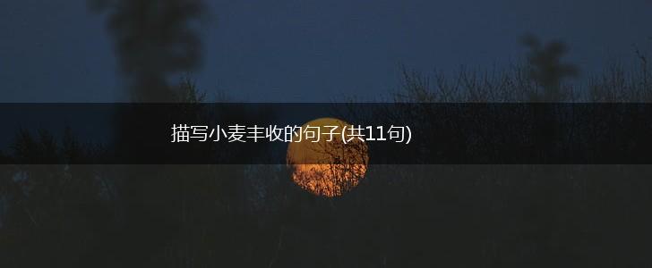 描写小麦丰收的句子(共11句),第1张