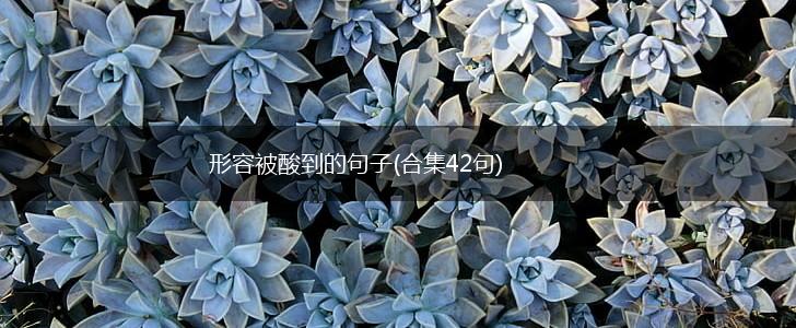 形容被酸到的句子(合集42句),第1张