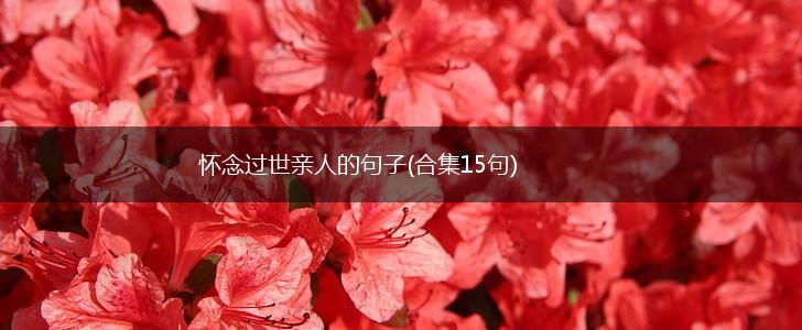 怀念过世亲人的句子(合集15句),第1张