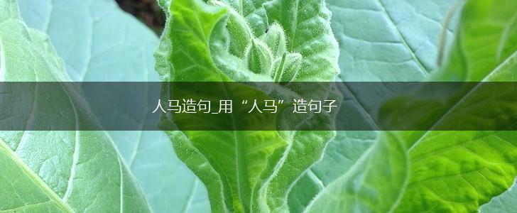 人马造句_用“人马”造句子,第1张