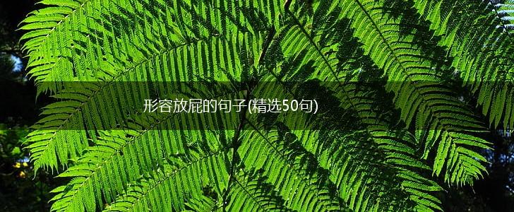 形容放屁的句子(精选50句),第1张