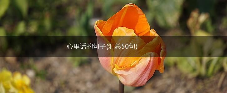 心里话的句子(汇总50句),第1张