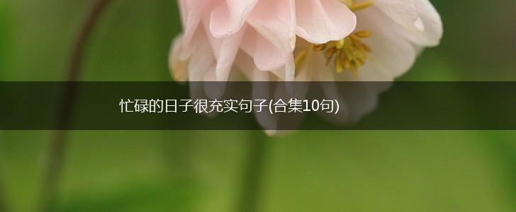 忙碌的日子很充实句子(合集10句),第1张