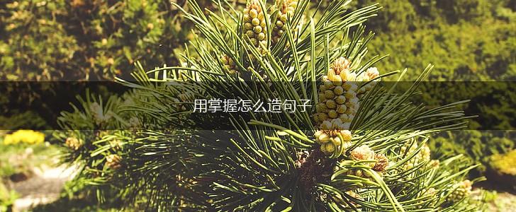 用掌握怎么造句子,第1张 用掌握怎么造句子,第1张