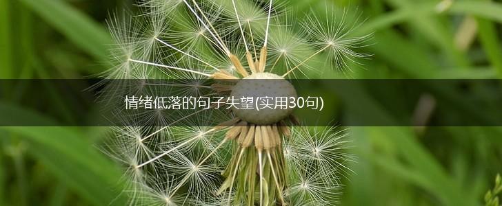 情绪低落的句子失望(实用30句),第1张