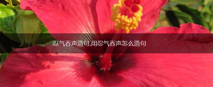 忍气吞声造句,用忍气吞声怎么造句,第1张