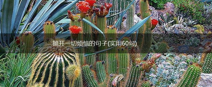 抛开一切烦恼的句子(实用60句),第1张