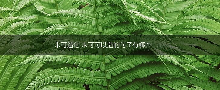 未可造句 未可可以造的句子有哪些,第1张 未可造句 未可可以造的句子有哪些,第1张