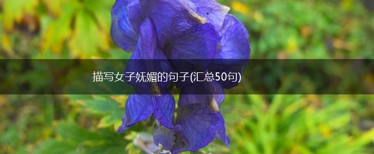 描写女子妩媚的句子(汇总50句),第1张