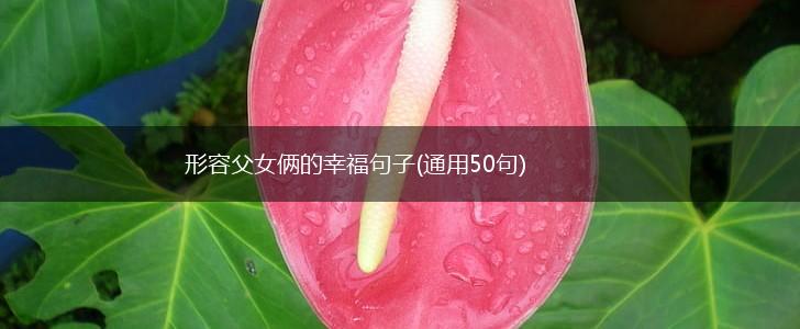 形容父女俩的幸福句子(通用50句),第1张