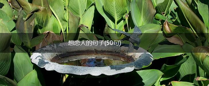想恋人的句子(50句),第1张