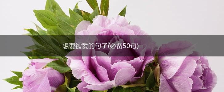 想要被爱的句子(必备50句),第1张
