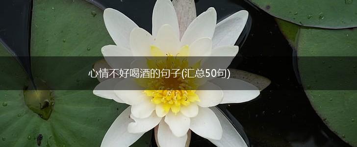 心情不好喝酒的句子(汇总50句),第1张
