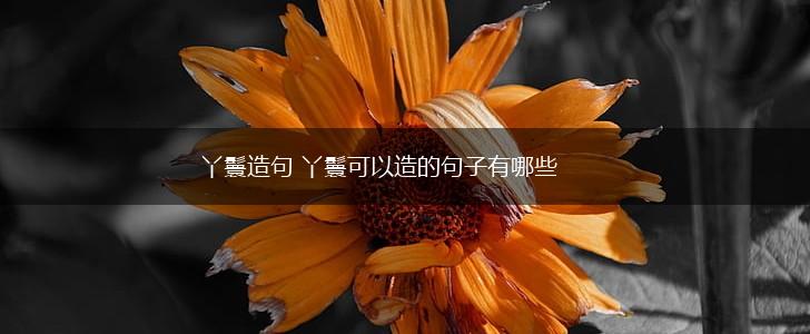 丫鬟造句 丫鬟可以造的句子有哪些,第1张 丫鬟造句 丫鬟可以造的句子有哪些,第1张