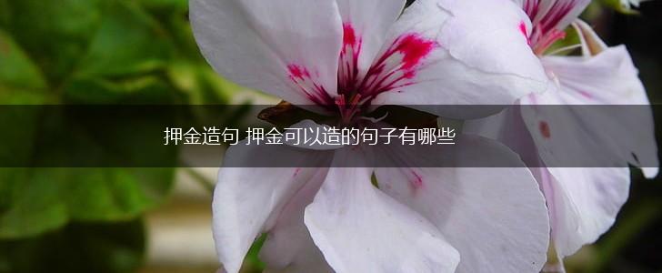 押金造句 押金可以造的句子有哪些,第1张 押金造句 押金可以造的句子有哪些,第1张