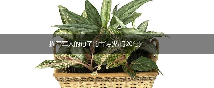 描写军人的句子的古诗(热门20句),第1张