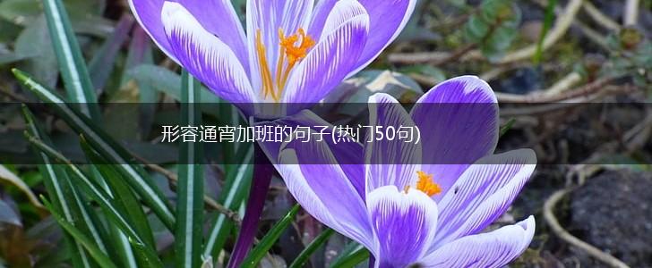 形容通宵加班的句子(热门50句),第1张