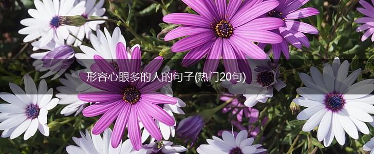 形容心眼多的人的句子(热门20句),第1张